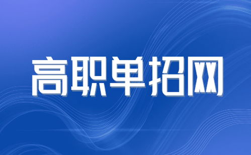 2025年北京信息職業(yè)技術學院高職自主招生簡章